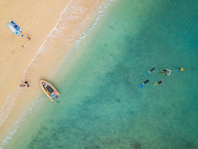 Cairns Island Snorkelling - Frankland