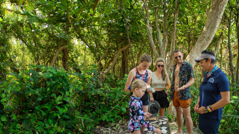 Cairns Island Conservation