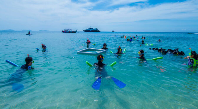 Frankland Islands guided snorkelling