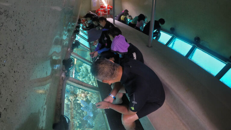 Semi Sub and Underwater Observatory - Great Barrier Reef