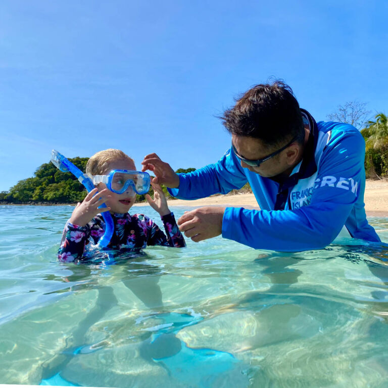 Snorkel Stars activity with our Frankland Island Guides