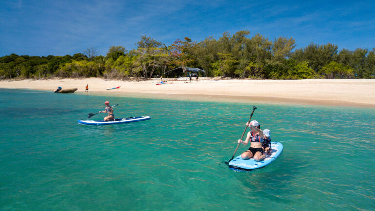 frankland-islands-reef-tours-stand-up-paddleboarding