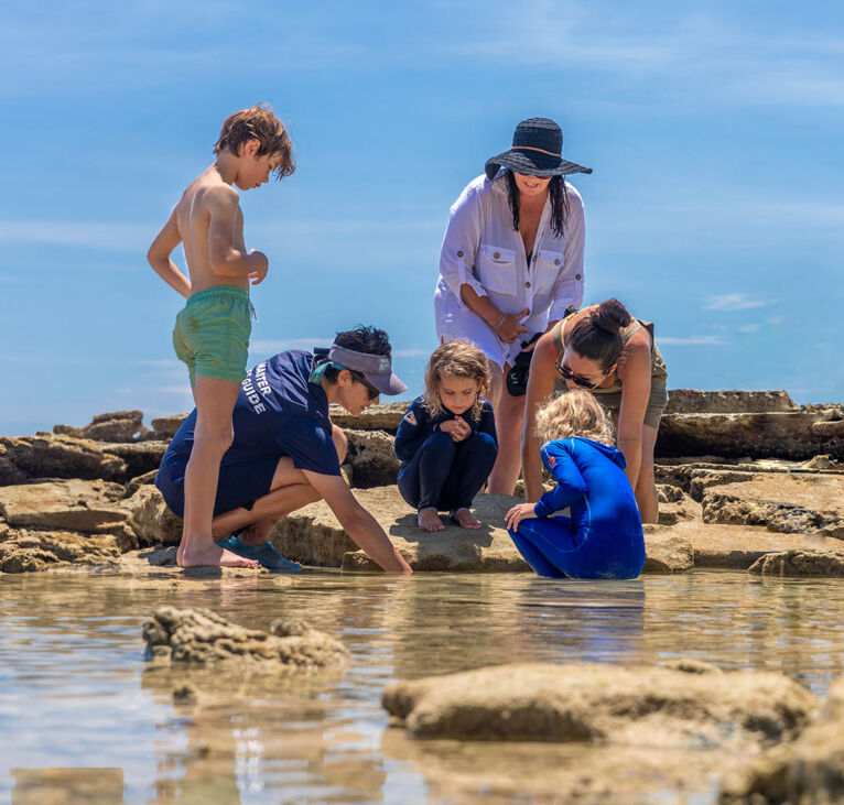 reef conservation