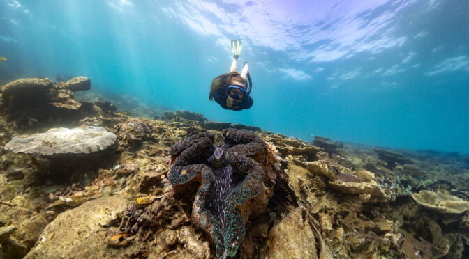 Conservation 5 Frankland Islands Diving