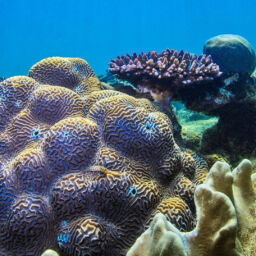 1920x1080 0000s 0012 Marine USB 406