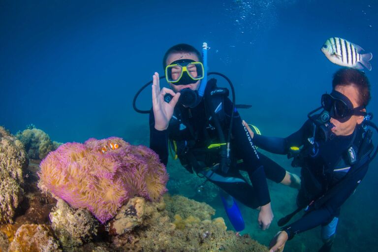 Intro Scuba Dive Cairns