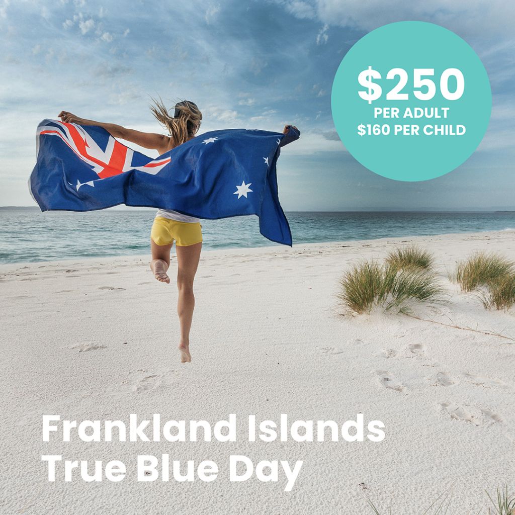 Social-static FIRC True Blue